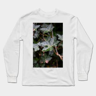 Hangout. Long Sleeve T-Shirt